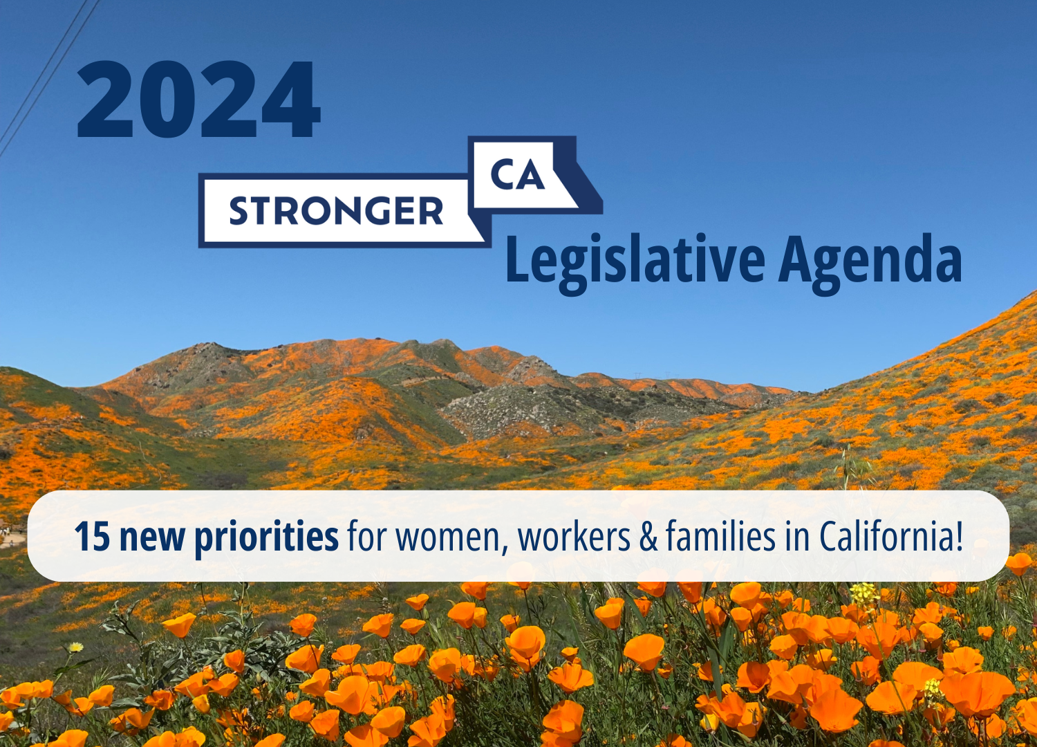 2024 Stronger CA Legislative Agenda - 15 new priorities for women, workers & families in California!