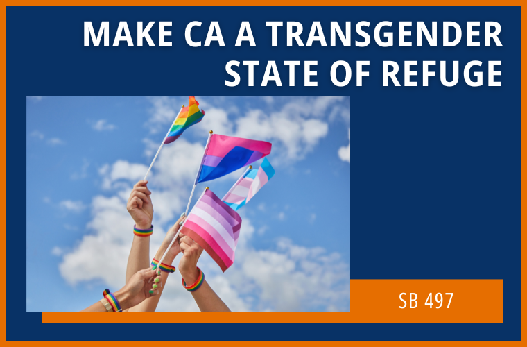 Make CA a Transgender State of Refuge - SB 497
